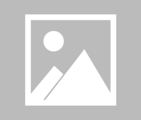 悦盈平台 -莱比锡红牛球员名单