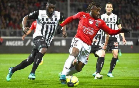 悦盈体育 -赛前法甲焦点战，孟菲斯灰熊手感冰凉，赛场秩序良好，赛程密集仍需轮换(孟菲斯灰熊简介)